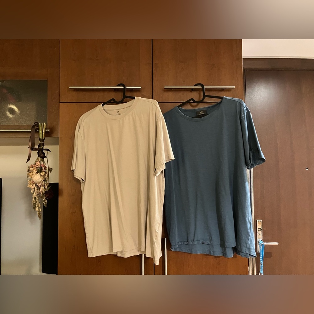 Bundle of 2 H&M T-Shirts - L